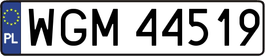 WGM44519