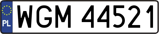 WGM44521