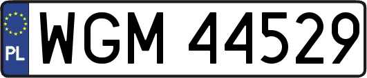 WGM44529