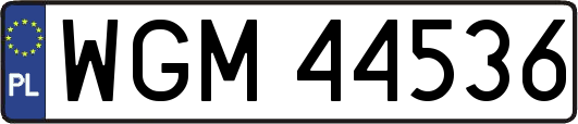 WGM44536