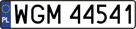 WGM44541