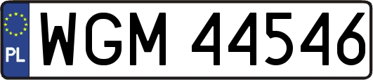 WGM44546