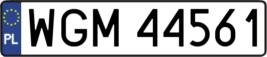 WGM44561