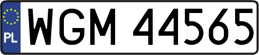 WGM44565