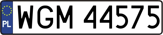 WGM44575
