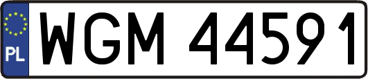 WGM44591