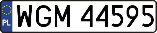 WGM44595