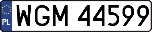 WGM44599