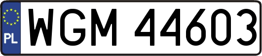 WGM44603