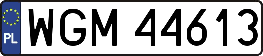 WGM44613