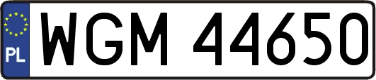WGM44650