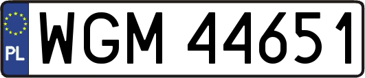 WGM44651