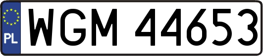 WGM44653