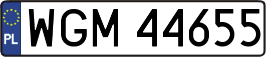 WGM44655