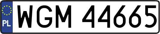 WGM44665