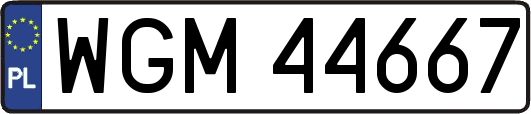 WGM44667