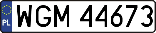 WGM44673