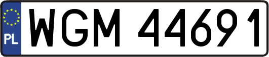 WGM44691
