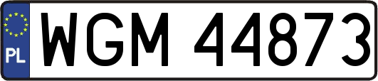WGM44873