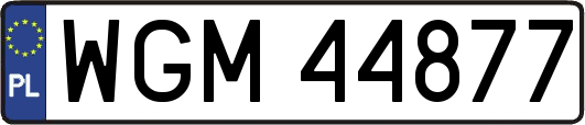 WGM44877