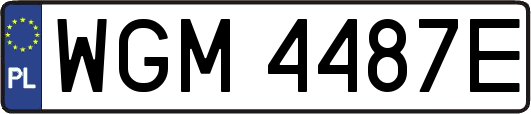 WGM4487E