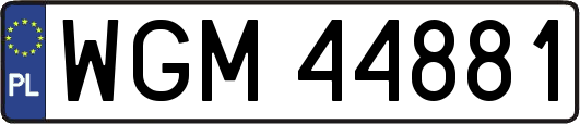 WGM44881