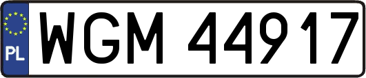 WGM44917