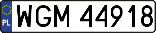 WGM44918