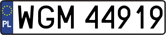 WGM44919