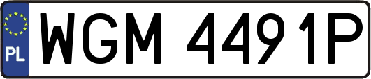 WGM4491P