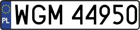 WGM44950