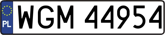 WGM44954
