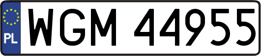 WGM44955