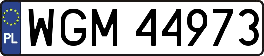 WGM44973