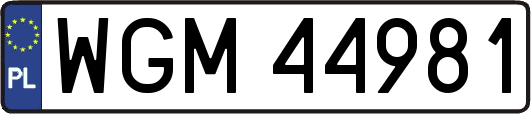 WGM44981