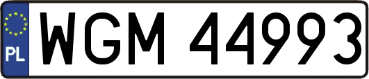 WGM44993