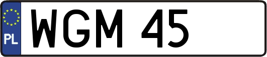 WGM45