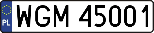 WGM45001