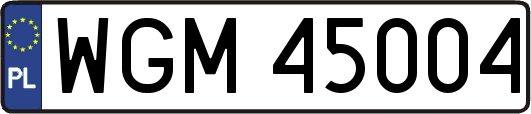 WGM45004