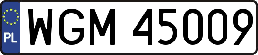 WGM45009