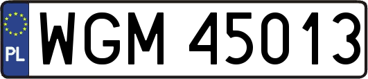 WGM45013