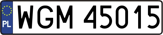 WGM45015