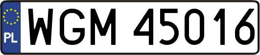 WGM45016
