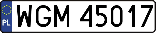 WGM45017