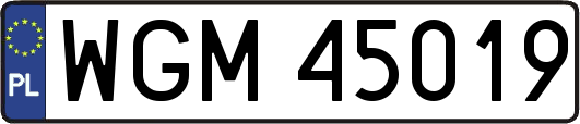 WGM45019