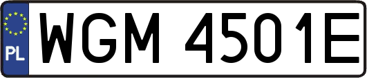 WGM4501E