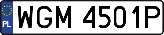 WGM4501P
