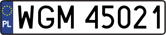 WGM45021