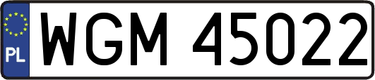WGM45022