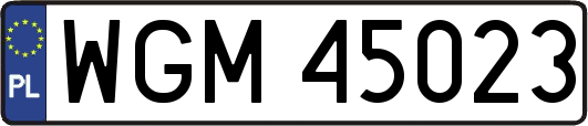 WGM45023